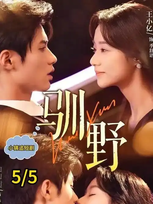 剧集《破冰者档案》海报